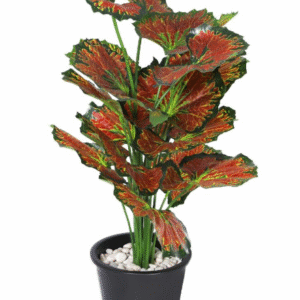 ต้นบีโกเนียประดิษฐ์ 50 ซม.