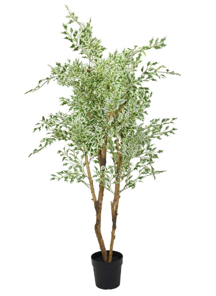 ต้นไทรด่างประดิษฐ์ 185 ซม.