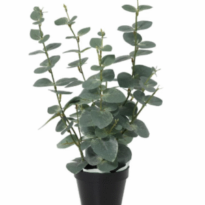 ต้นมะกอกโอลีฟประดิษฐ์ 67 ซม.