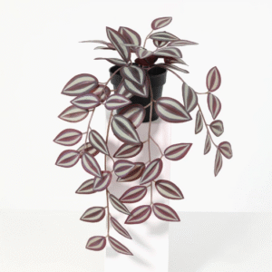 ต้นก้ามปูหลุดประดิษฐ์ 33 ซม.