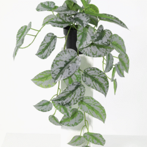 ต้นพลูหัวใจแนบประดิษฐ์ 48 ซม.